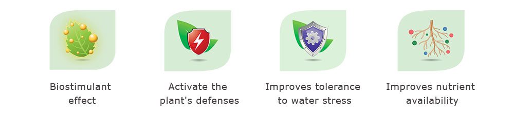 Biostimulant effect