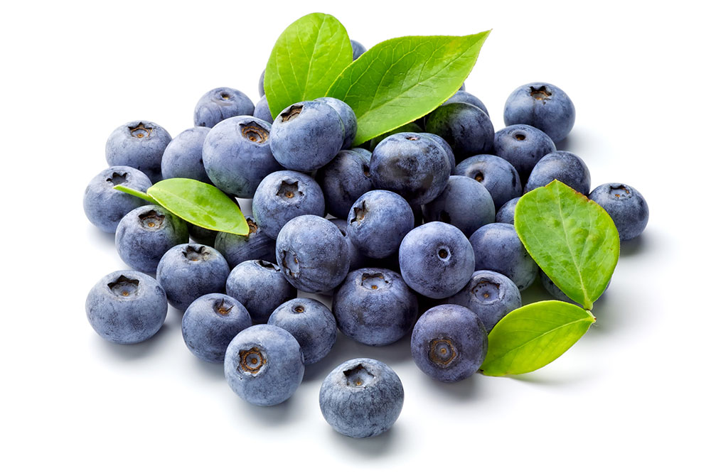 Blueberry fertiliser program