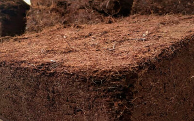 Coconut fiber for hydroponics