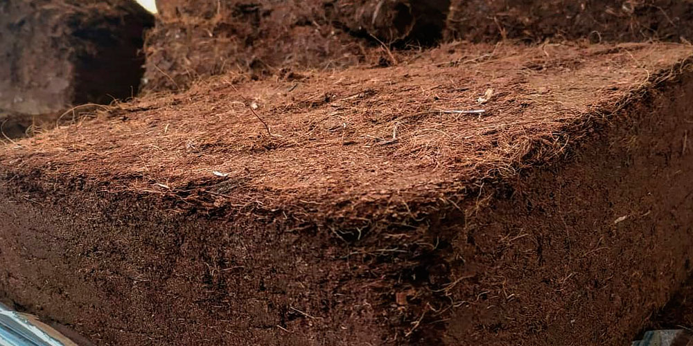 Coconut fiber for hydroponics