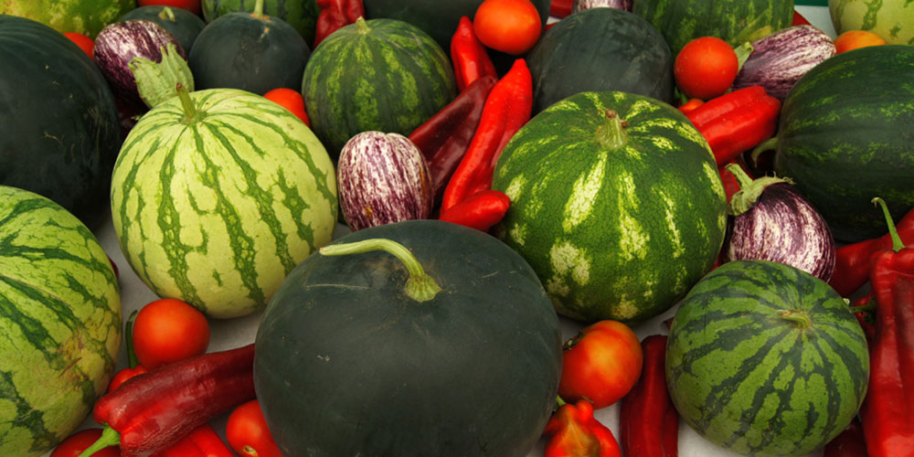 Le melon vert fait-il grossir ? - Le blog