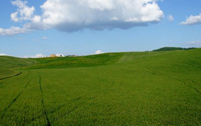 Journée mondiale des Fertilisants