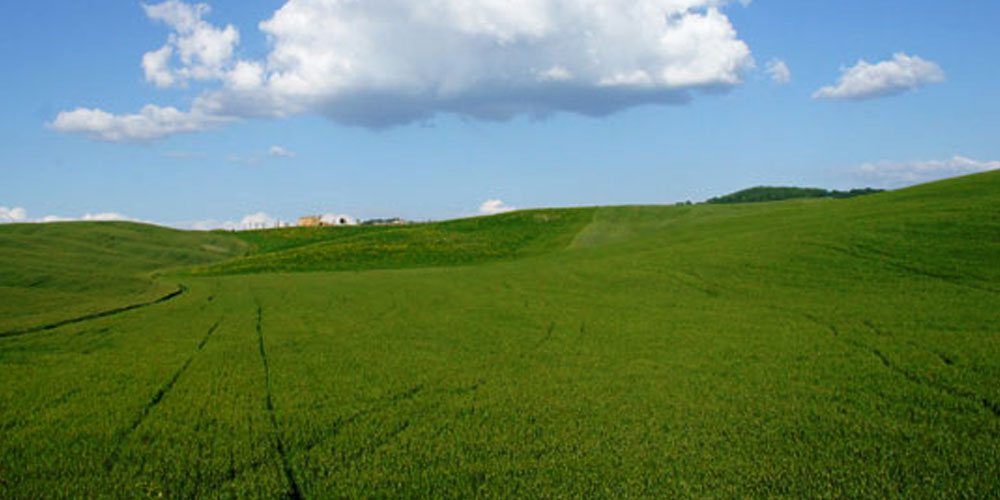 Journée mondiale des Fertilisants