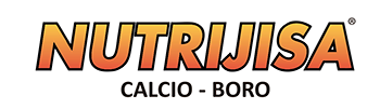 Logo Nutijisa Calcio Boro