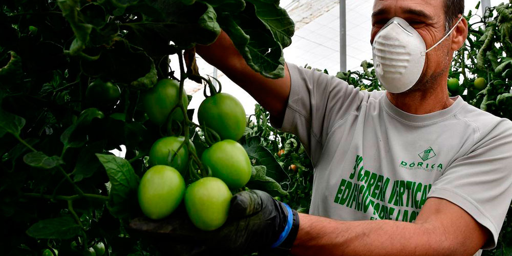 Don de masques pour les ouvriers agricoles