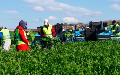 Reconnaissance de jisa au secteur agricole