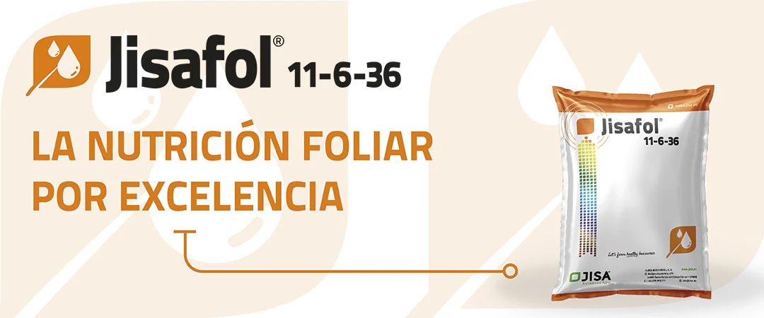 Abono foliar NPK 11-6-36 rico en potasio y enriquecido con magnesio y boro
