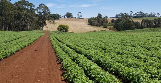 Agricultura sostenible