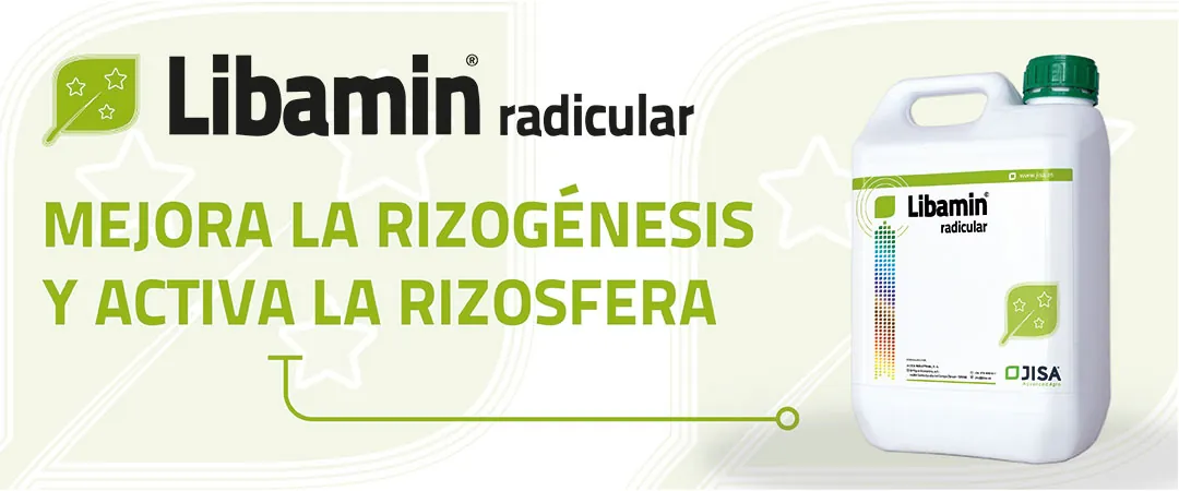 Formulado líquido a base de NPK con micronutrientes quelatados y aminoácidos Libamin radicular