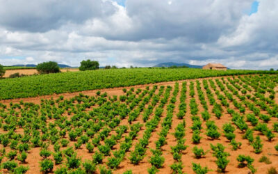 Recogida de envases agrícolas en La Rioja