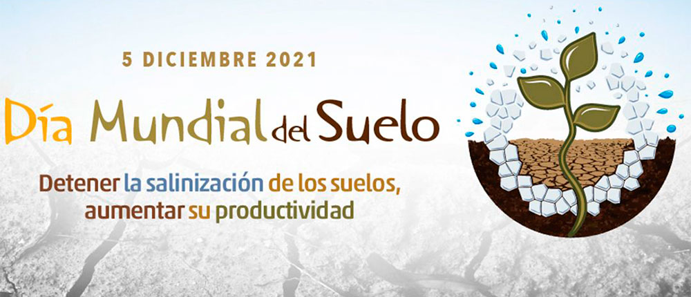 Día mundial del suelo 2021