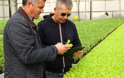 II Curso de Experto en Agronutrientes y Bioestimulantes