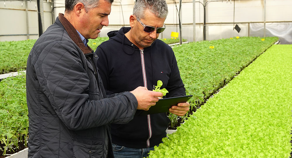 II Curso de Experto en Agronutrientes y Bioestimulantes