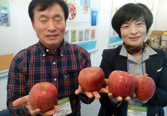 Feria de Tamas en Corea