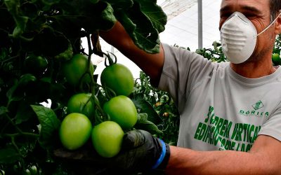 Donación de mascarillas para trabajadores del campo