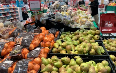 Día Internacional de la Sanidad Vegetal
