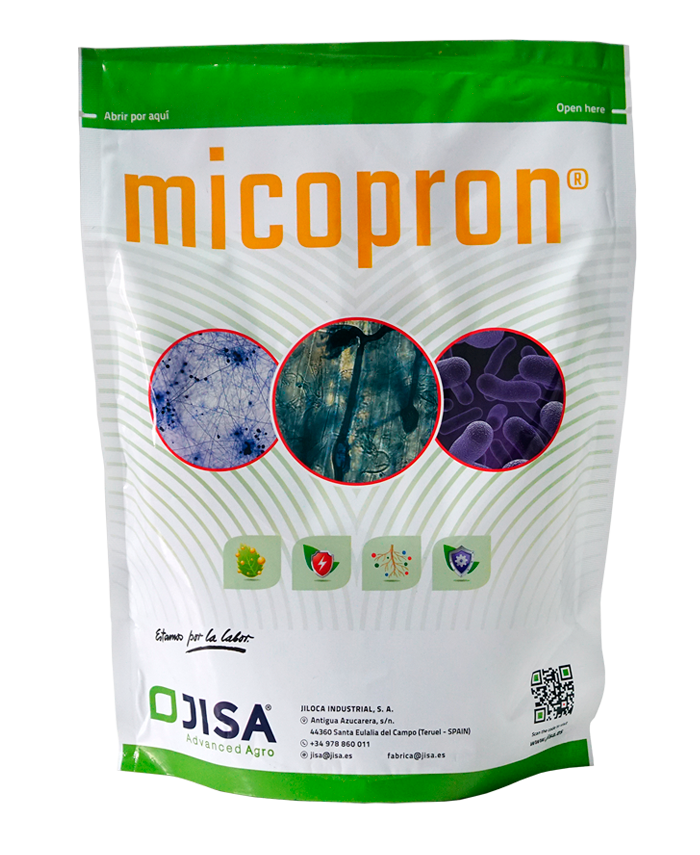Mezcla de Hongos Endomicorrícicos y Rizobacterias PGPR