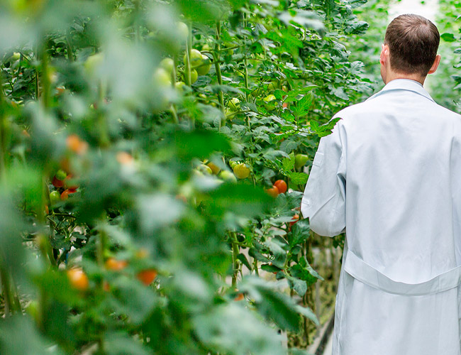 Política de calidad y medioambiente de JISA