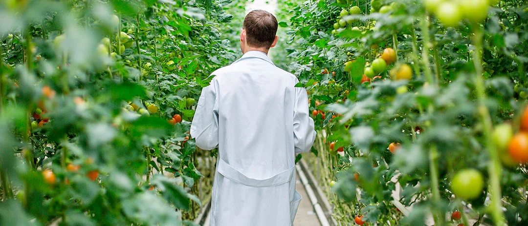 Política de calidad y medioambiente de JISA