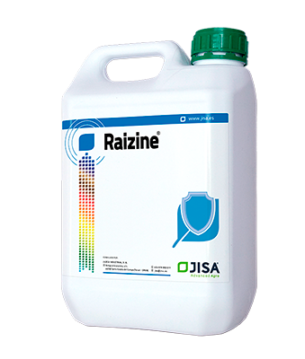 Raizine | Especialidades | JISA