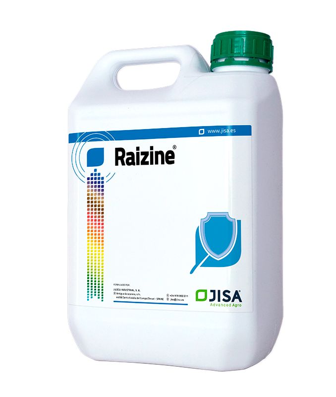 Raizine | Especialidades | JISA