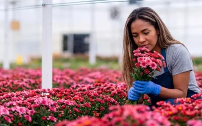 La agronutrición y mercado de la flor en Colombia