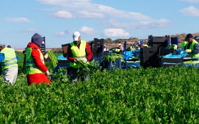 Reconocimiento de JISA al sector agrícola