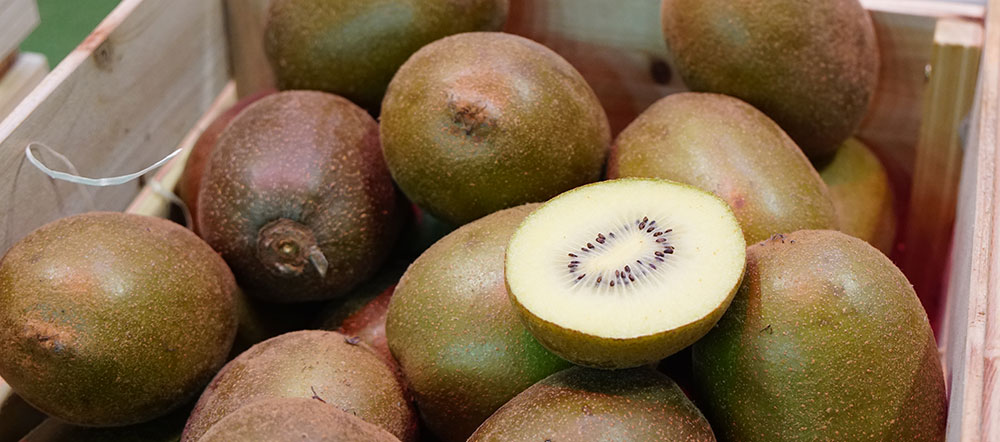 Variedades de kiwi